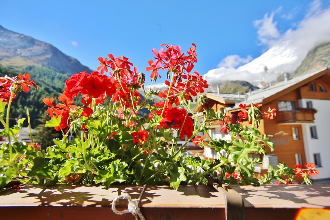 Hostel Imseng Saas-Fee Exterior foto